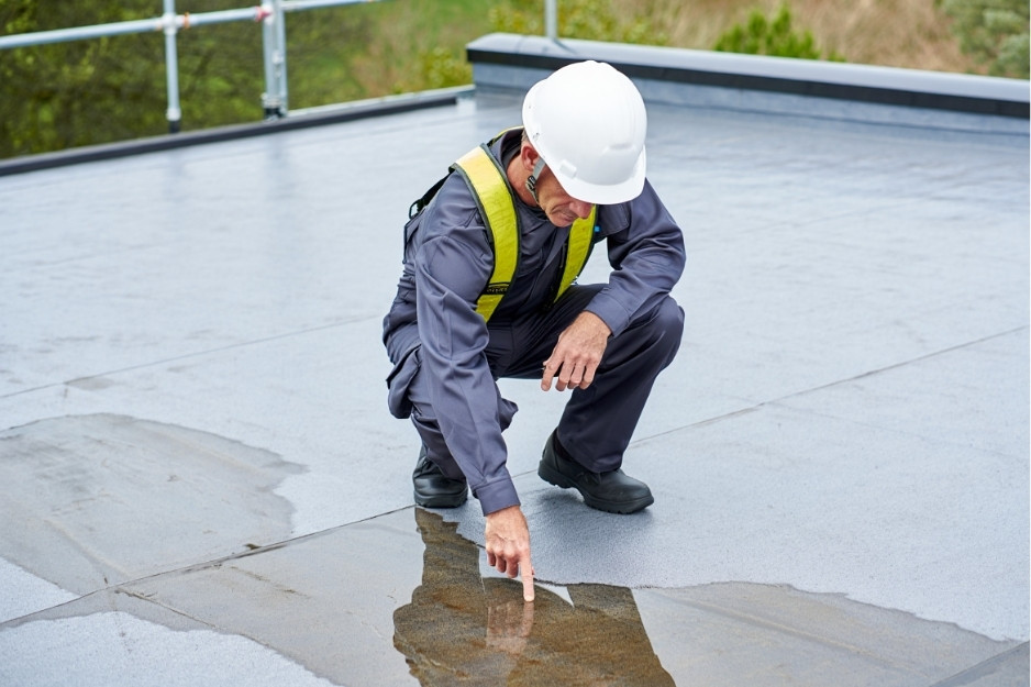 daklekkages plat dak in Friesland